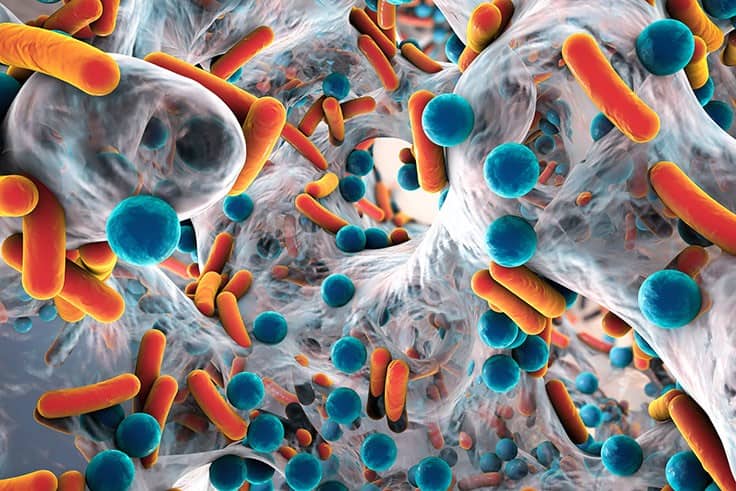 Super Drugs for Superbugs: How Cannabinoid Science Links CBG to MRSA Treatment 